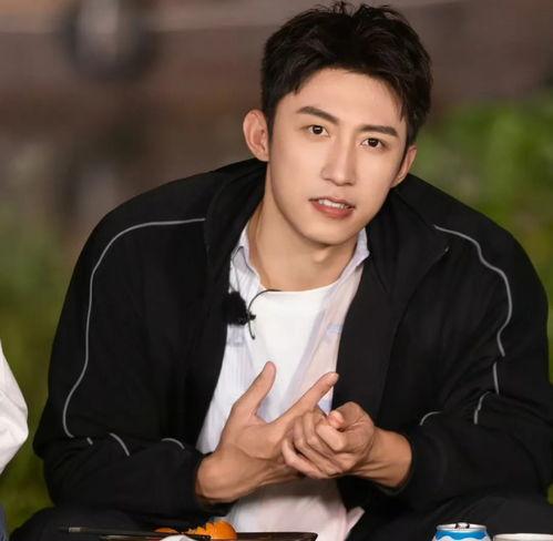 黄景瑜圈内爆料,一场关于友情与利益的较量  第2张