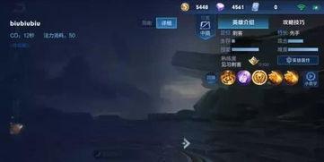 曜无双最新爆料视频,揭秘神秘英雄技能与背景故事